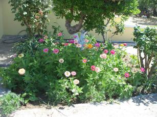 100_6792-min.jpg